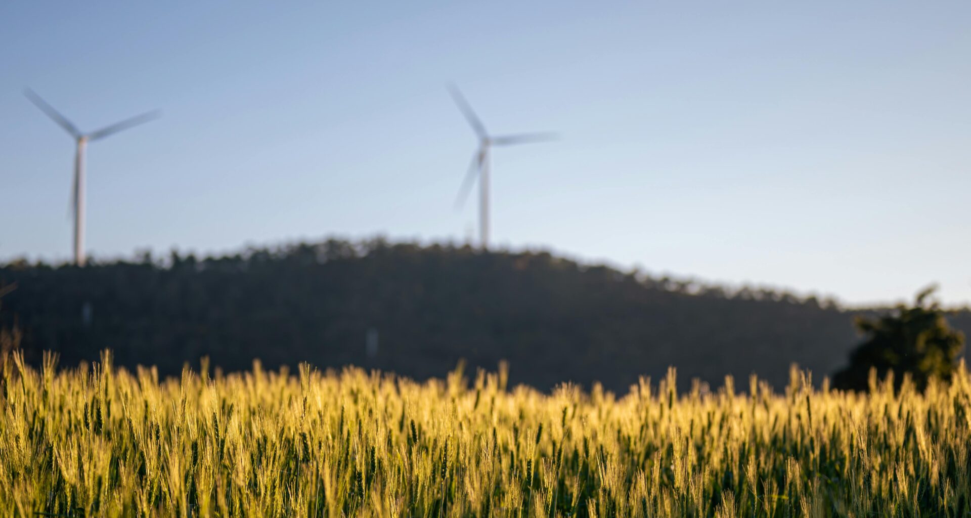 Crop breeding can cut methane emissions