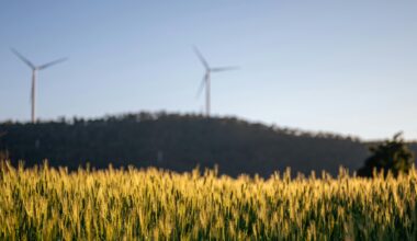 Crop breeding can cut methane emissions