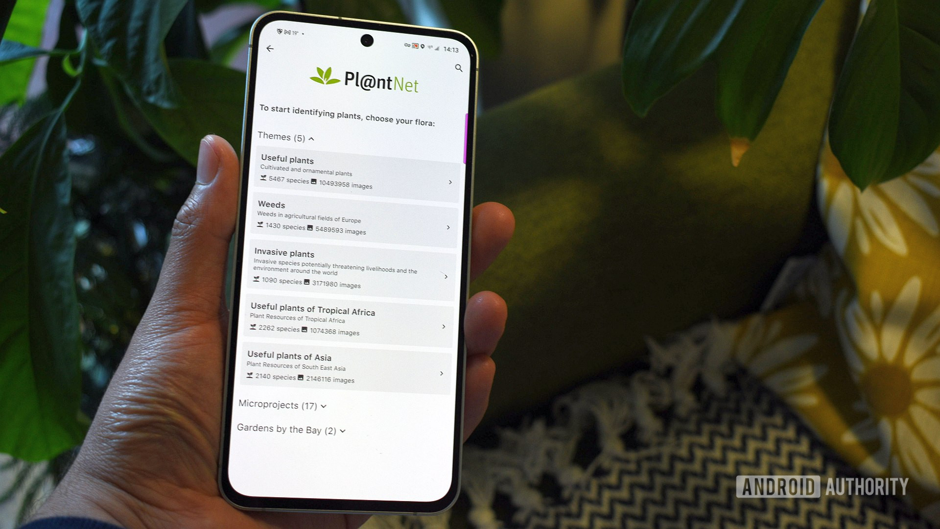 plantnet android app 1