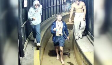 New York amusement park break-in suspects stole stuffed animals, damaged electrical room, police say