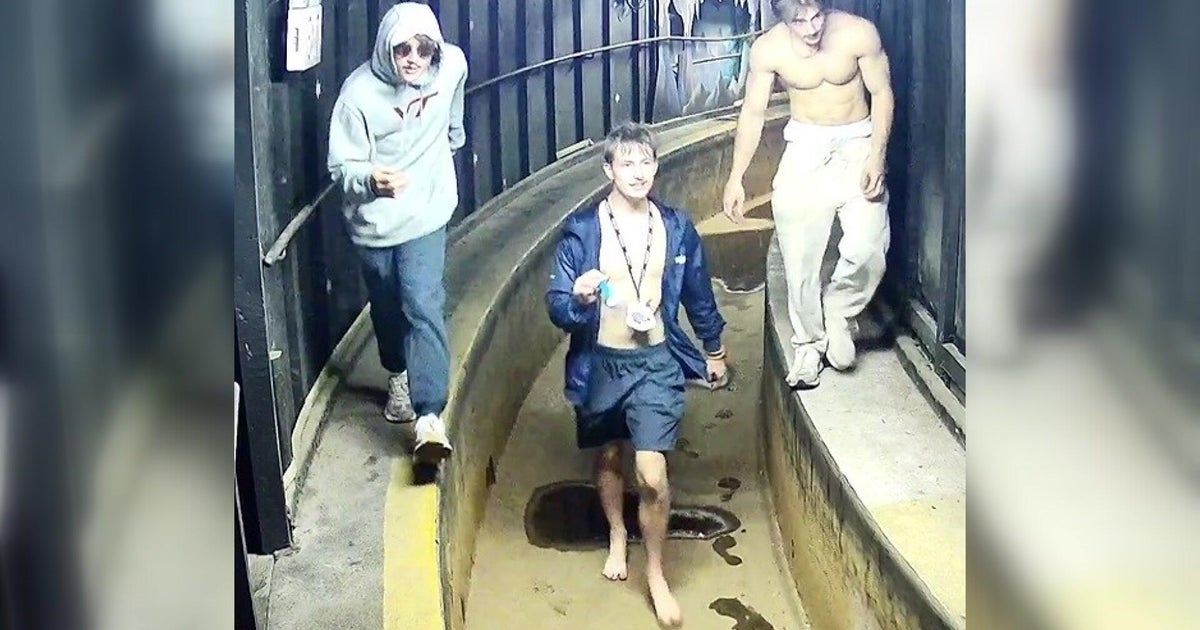 New York amusement park break-in suspects stole stuffed animals, damaged electrical room, police say