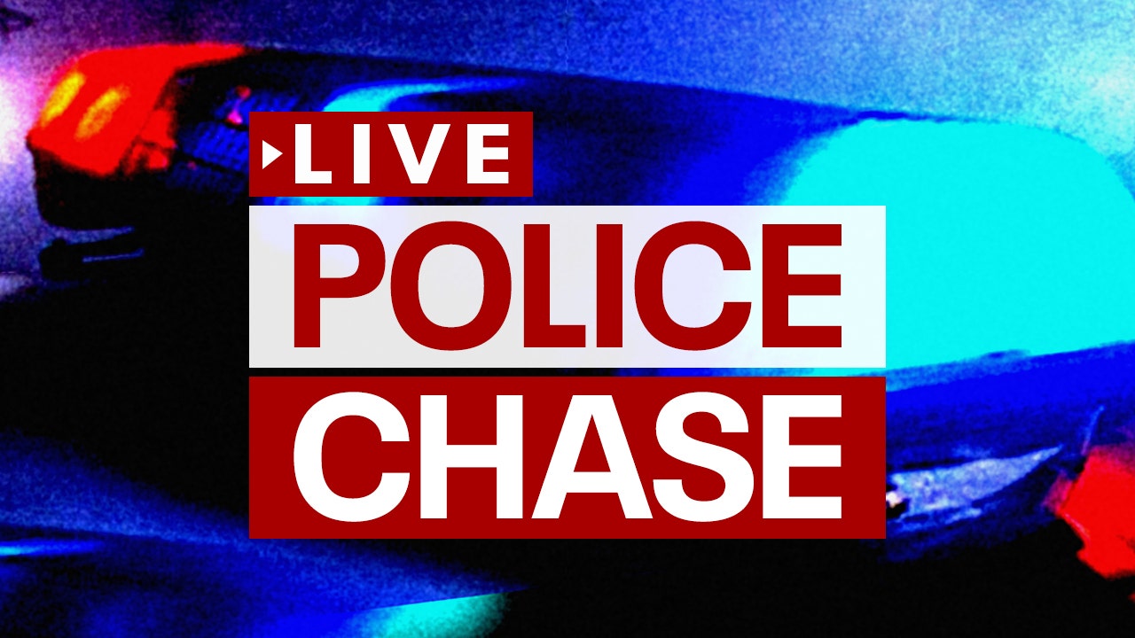Search for possibly armed LA police chase suspect