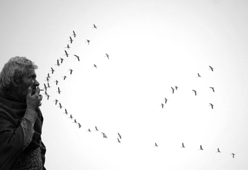 a black and white photo of a man smoking a cigarette, the birds flying in the background aligning in a perfect position to represent his smoke