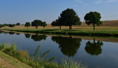 Fort Worth to Plant Trees Along Trinity River Trails