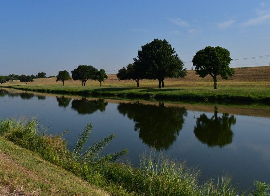 Fort Worth to Plant Trees Along Trinity River Trails