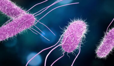 Scientists Are Testing a Vaccine for Food Poisoning. It Can't Come Soon Enough