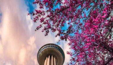 San Antonio shines as top spot for Gen Zers to live in 2025