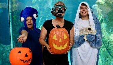 Fishy ‘n frightful October fun awaits at these local aquariums – NBC Los Angeles
