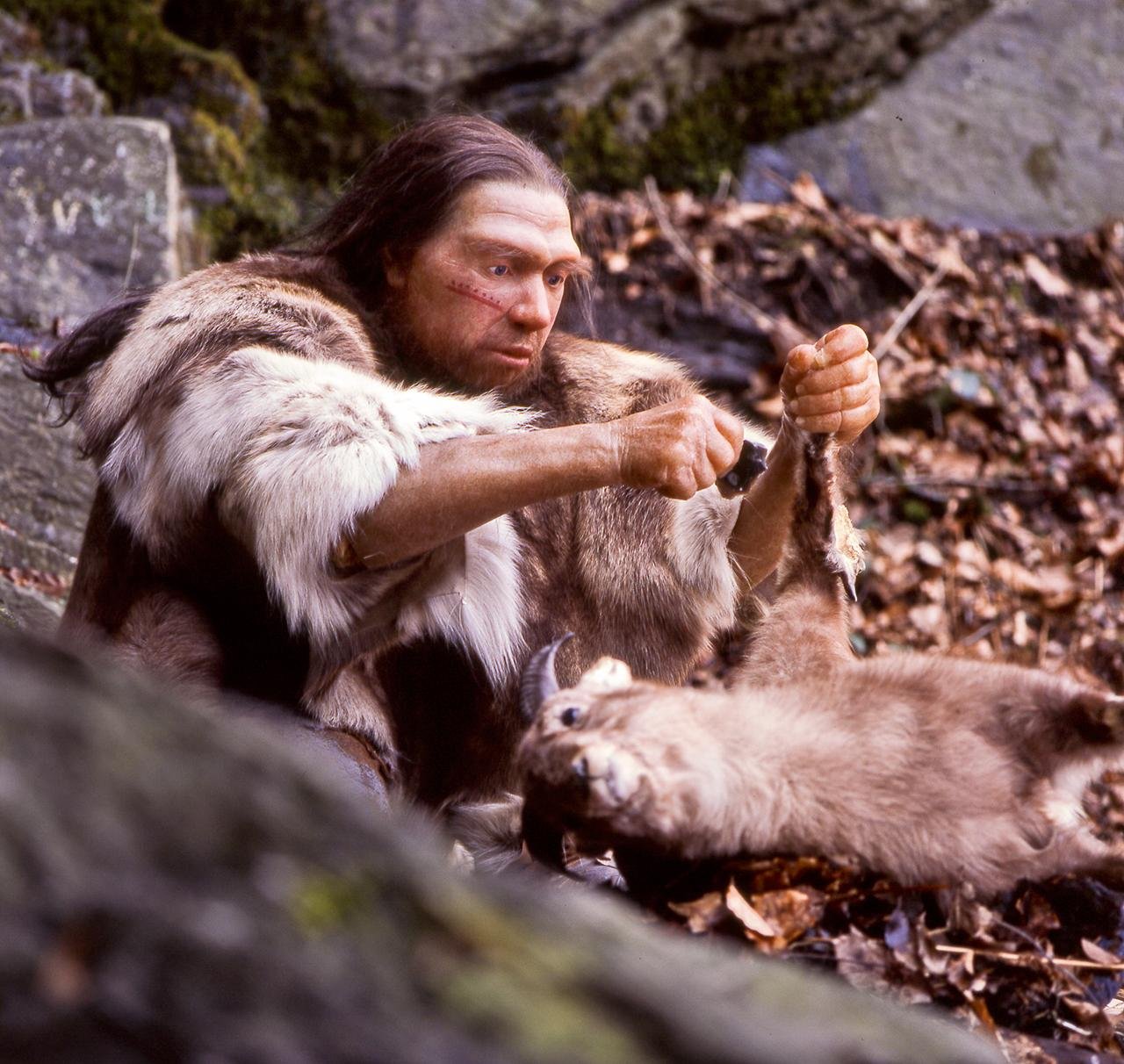 Ancient wooden spears in Germany likely made by Neanderthals 200,000 years ago, study reveals