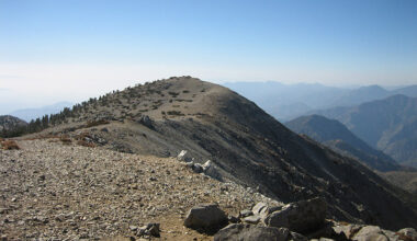 Photograph courtesy of flickr.com/The-Javelina