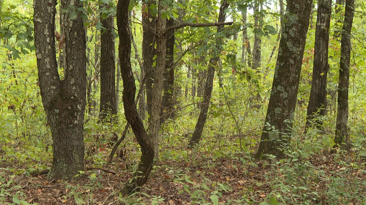 Hikers safe after bear encounter in Franklin County