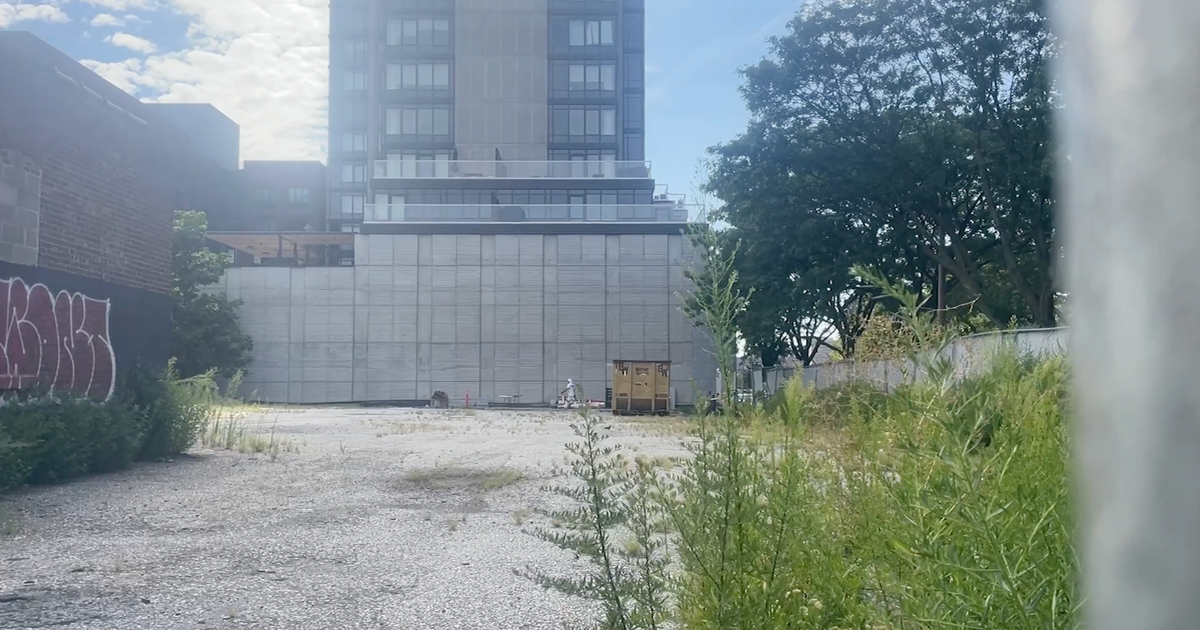 Is New York City's plan for a new school in Greenpoint safe? There are skeptics.