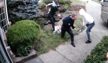 Pitt Meadows family flees Canada after brutal attack caught on camera - BC