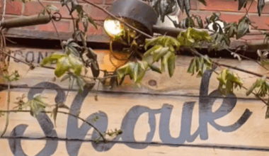 'Caught in the Crosscurrents': Kosher, Israeli-tied Chain Closes in DC Amid Boycotts - Haaretz