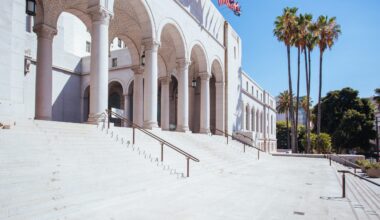 Man Crashes Car into LA City Hall's Steps