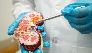 Kidney organoids show APOL1 gene’s role in chronic kidney disease