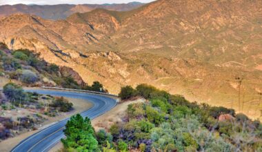 LAFD Helicopter Rescues Woman Who Drove 200 Feet Off Mulholland Dr.