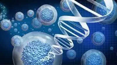 Sindhis on India’s west coast show distinct genetic identity, study finds