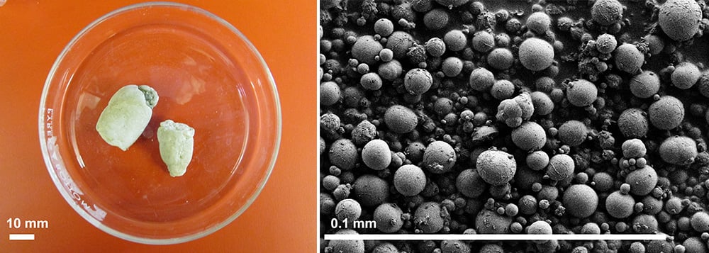 Snake Urine Crystal Comparison