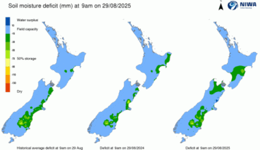 Breakfast briefing: Trump's latest double standards rattle financial markets