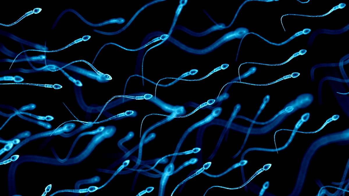 Older Men's Sperm Carry More Mutations, And They May Turn Harmful : ScienceAlert