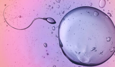 Scientists Caught Sperm Ignoring A Major Law of Physics : ScienceAlert
