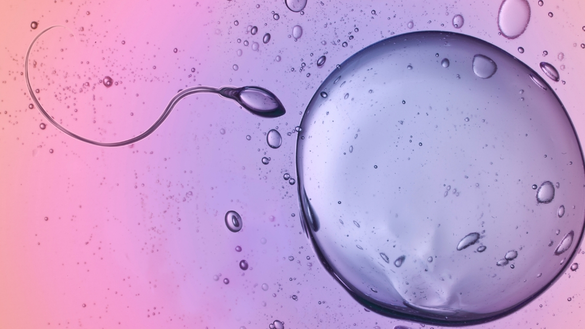 Scientists Caught Sperm Ignoring A Major Law of Physics : ScienceAlert