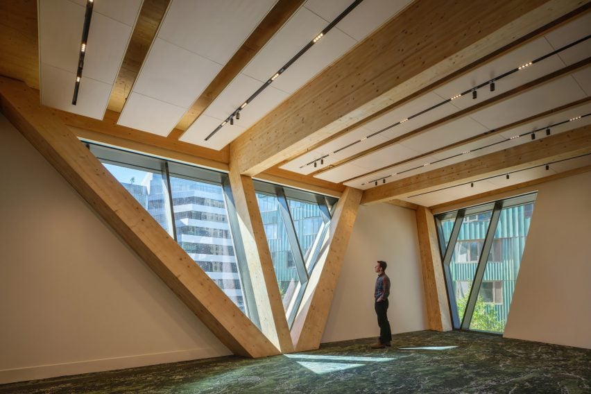 Forest carpet at Rubenstein Treehouse