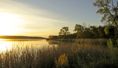 Enjoy state parks for free Sunday. Here’s where to go near Tarrant County