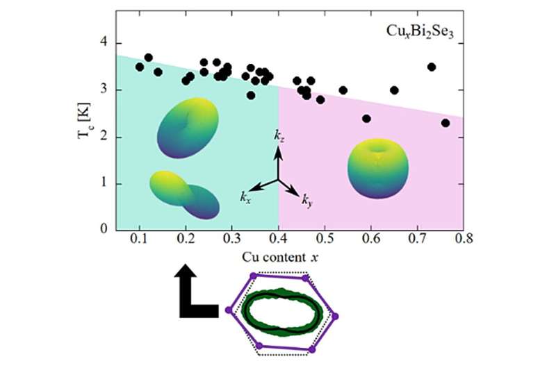 Superconductivity distorts the crystal lattice of topological quantum materials