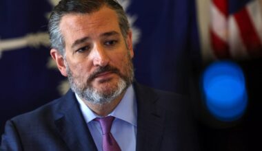 ted cruz