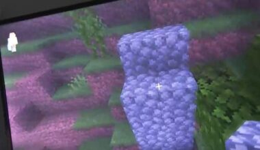 Alberta teen already in custody accused of more terrorism, child porn offences