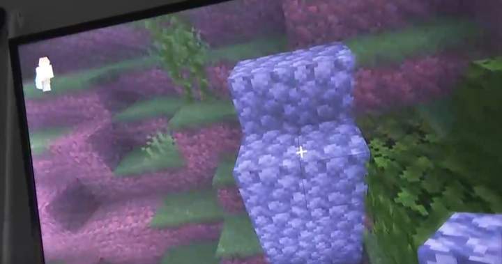 Alberta teen already in custody accused of more terrorism, child porn offences