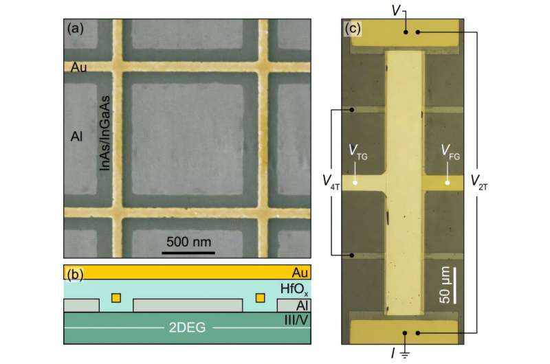 The anomalous metal—new light on the strange behavior of quantum fluctuations between competing states of matter