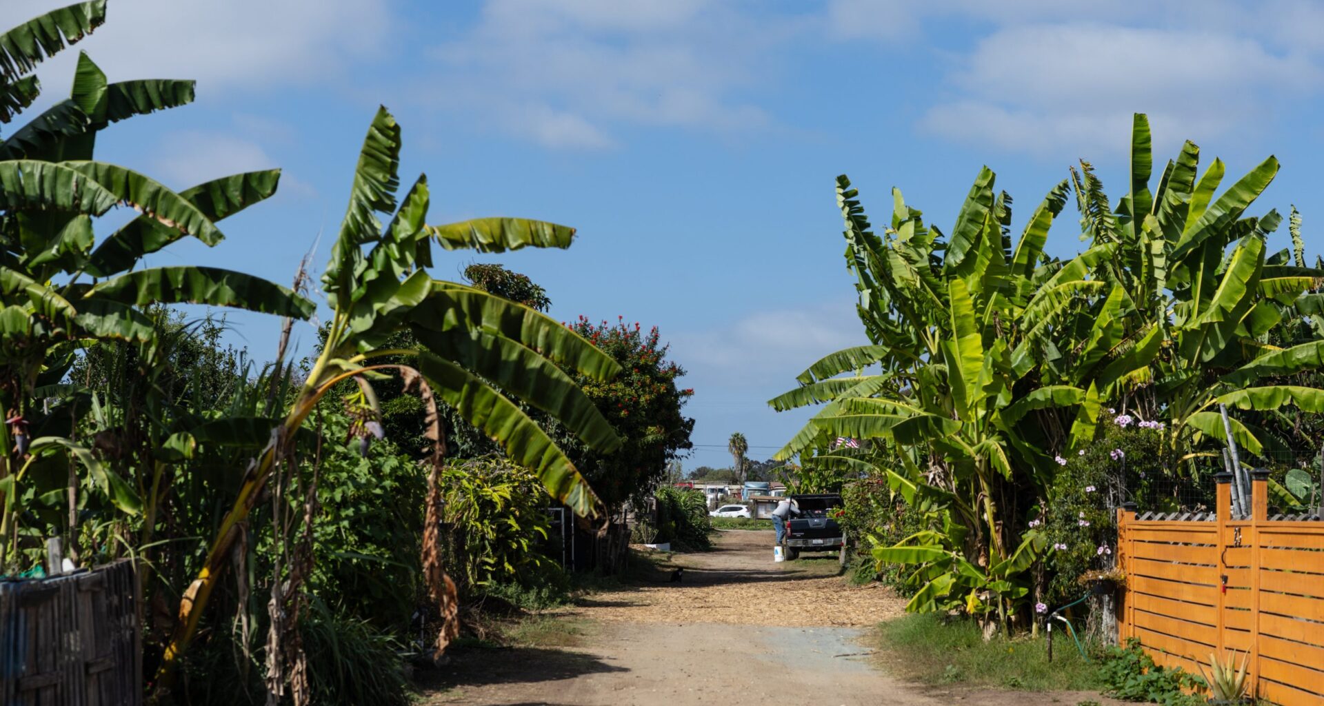 South County Report: Community Gardens Become a Symbol…But of What?
