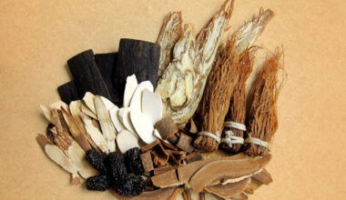 MOH evaluating traditional indigenous medicine for official recognition – Dzulkefly