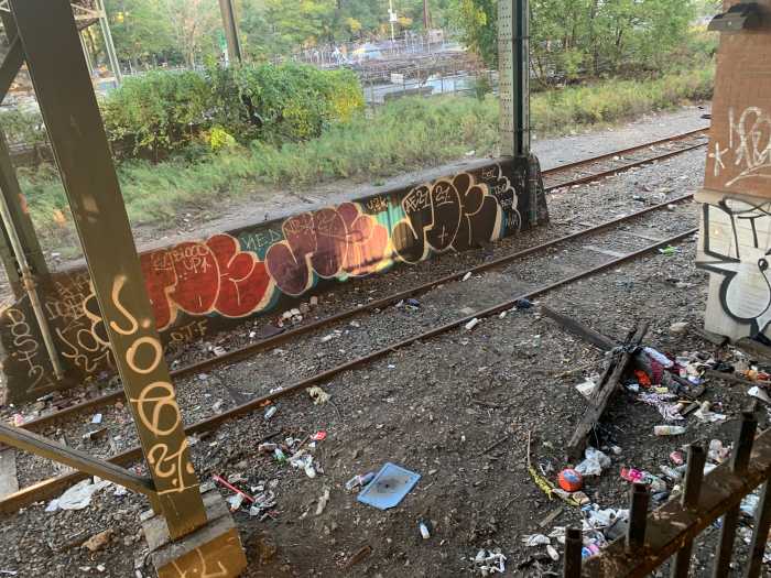 IBX Stop by Stop: East New York, Brownsville poised for more housing, shops and transit as plans for 14-mile light-rail continue 4 train tracks with greenery next to them