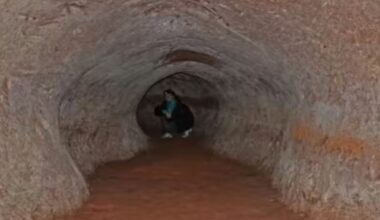It's official—the tunnels over 600 meters long found in Brazil and Argentina are not man-made, but the work of prehistoric giant sloths