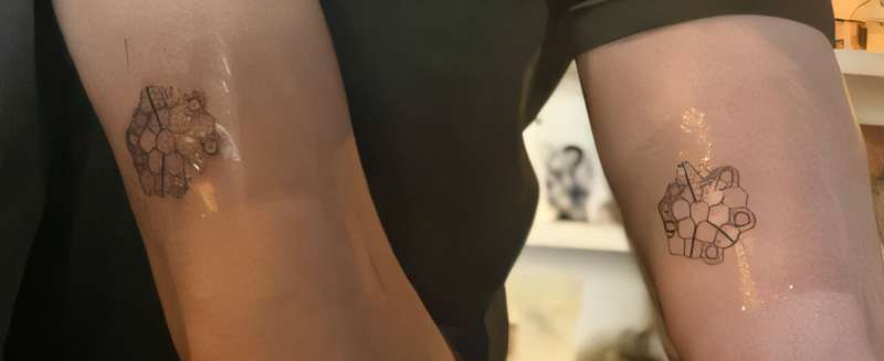 Two studies fix focus on James Webb Space Telescope