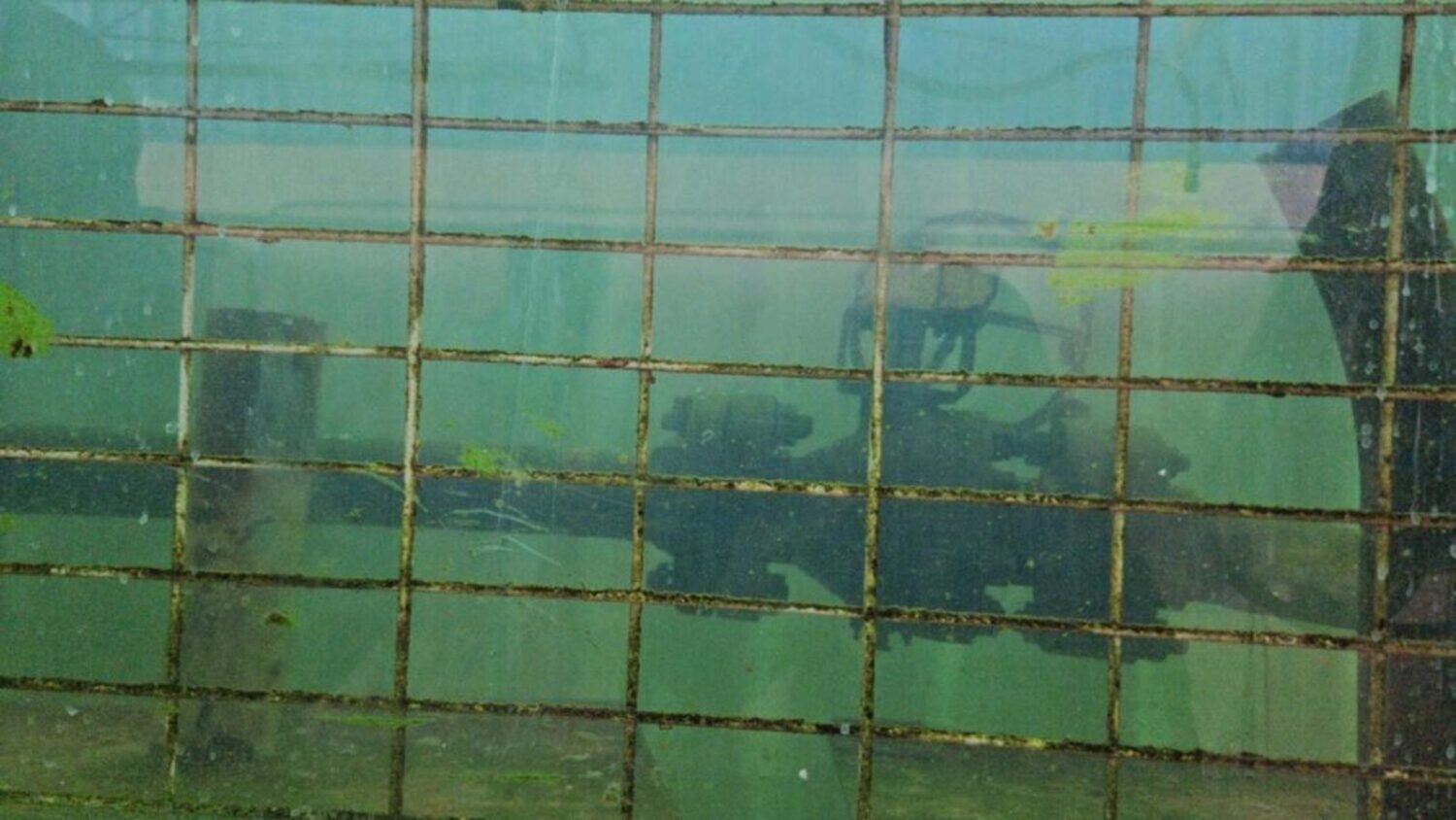 The Refrigeration School and Commercial Divers International are partnering on an underwater weldin...