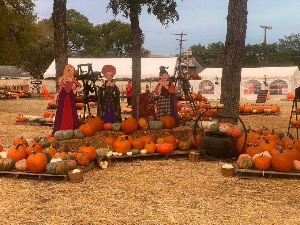 Universal City Pumpkin Patch