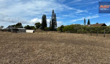 Upcountry water shortage downgraded to Stage 2; Once weekly irrigation allowed on set days : Maui Now