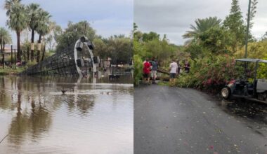 Phoenix Zoo temporarily closed following storm damage during Monday's storm