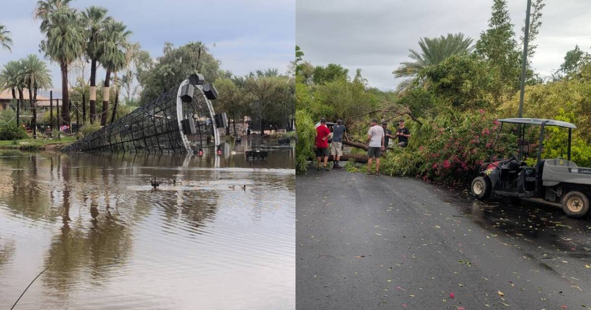 Phoenix Zoo temporarily closed following storm damage during Monday's storm