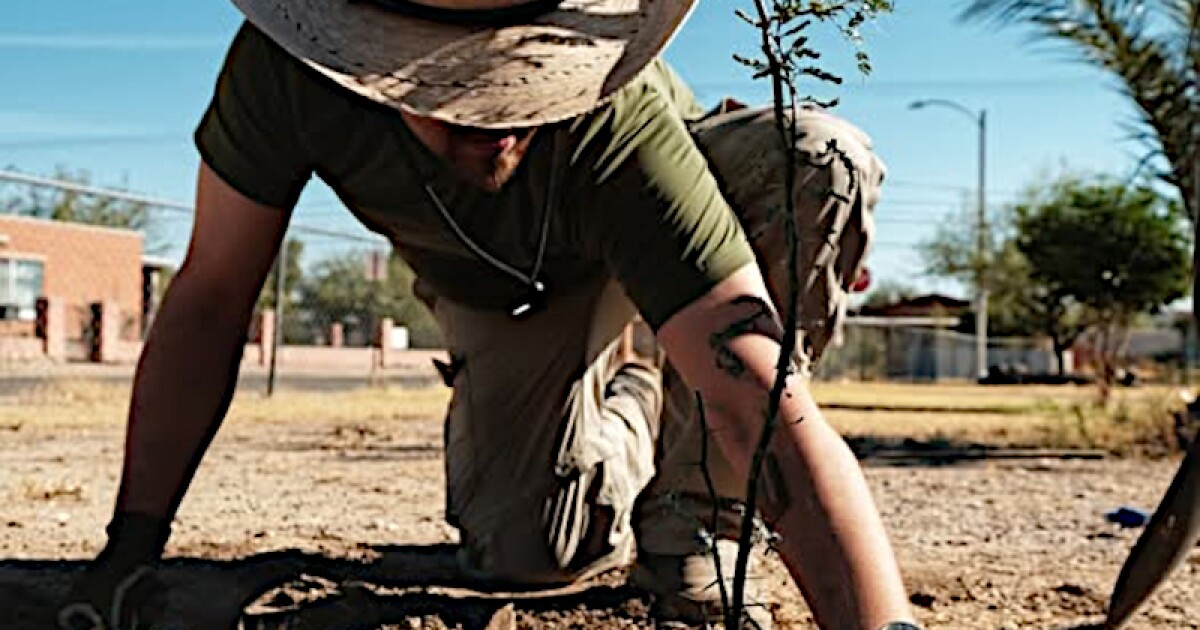 Department of Forestry and Fire Management grant promotes green spaces