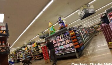 Bear seen running around grocery store in Oro Valley