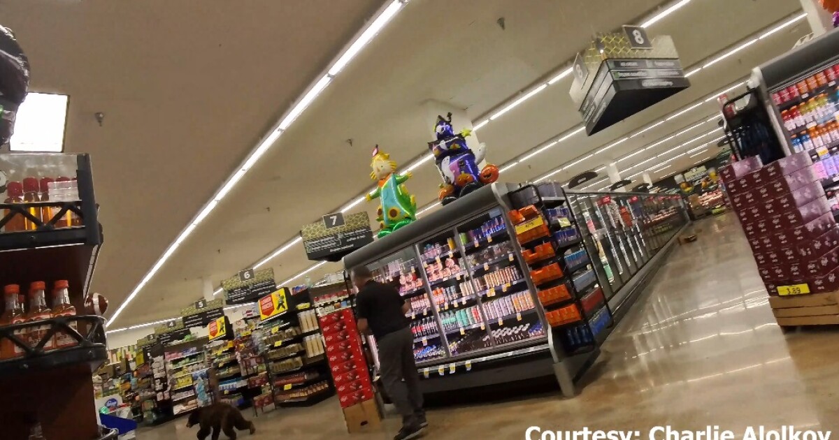 Bear seen running around grocery store in Oro Valley