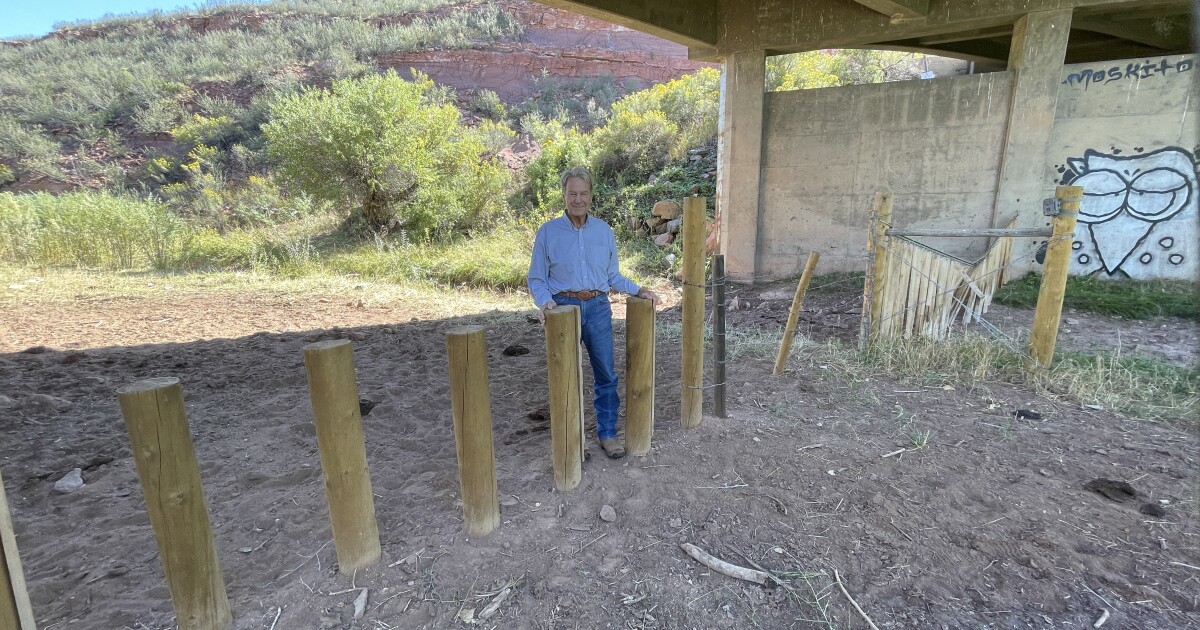 Under 287, Larimer County residents help build a simple fix for wildlife crashes: vertical posts
