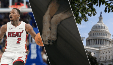 Former NBA coach arrested for illegal betting, Gov. Lombardo on shutdown and a win for animal welfare