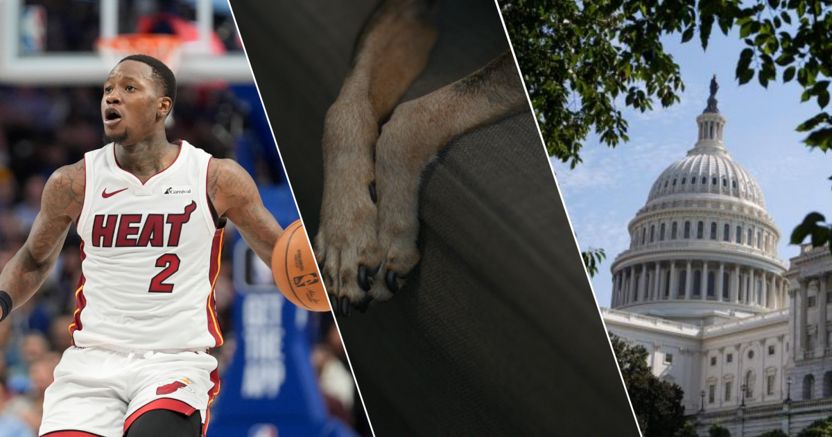 Former NBA coach arrested for illegal betting, Gov. Lombardo on shutdown and a win for animal welfare